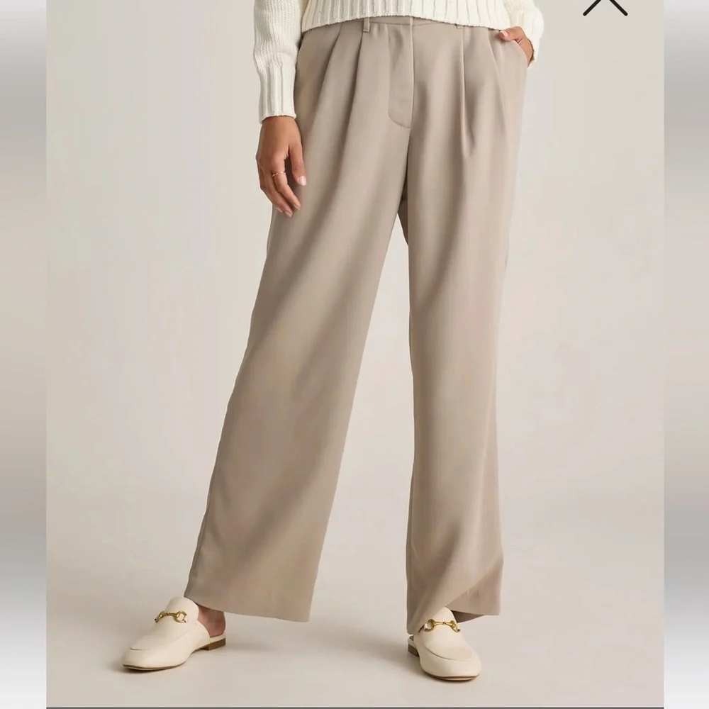 Quince Stretch Crepe Pleated Wide Leg Pants 8 Morel Taupe Minimalist Business